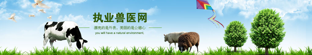 新闻资讯