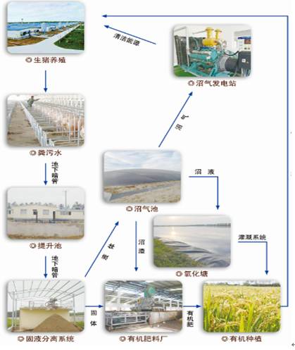 环保篇怎样做生态循环种养结合最给力