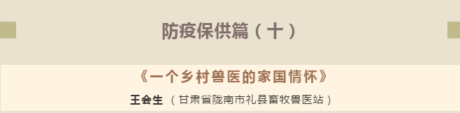 2020111300235923