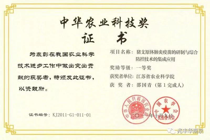 1605938245333251.jpg